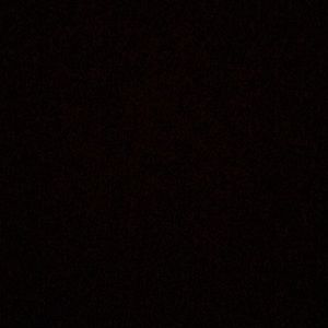 Meet your Posher, Deon